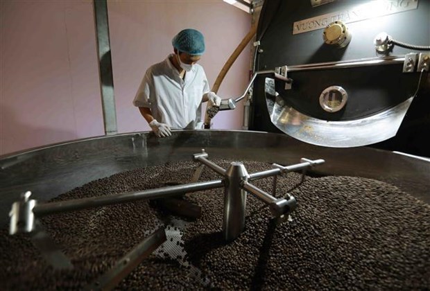 采取有力措施 切实提高越南咖啡的价值 hinh anh 2