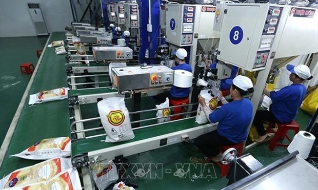 越南大米出口价格上涨近10% hinh anh 1