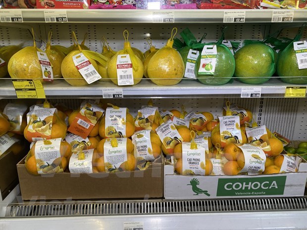 越南特产高丰橙子正式在英国市场销售 hinh anh 2