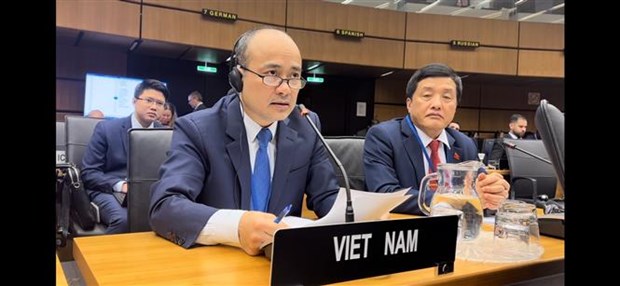 越南支持国际原子能机构的所有三大支柱 hinh anh 1