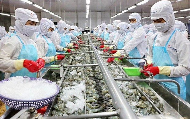 今年前2月越南水产品产量超过118万吨 hinh anh 1