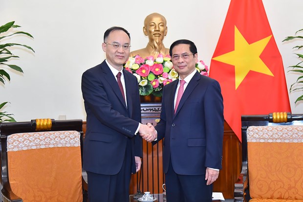 越南外交部领导与中国外交部部长助理农融举行会见和会谈 hinh anh 1