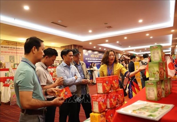 越南第八届邦美蜀咖啡节： 促进咖啡行业国际贸易合作与对接 hinh anh 2
