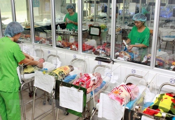 越南人口预计4月中旬破亿，成为第15个人口过亿国家 hinh anh 1