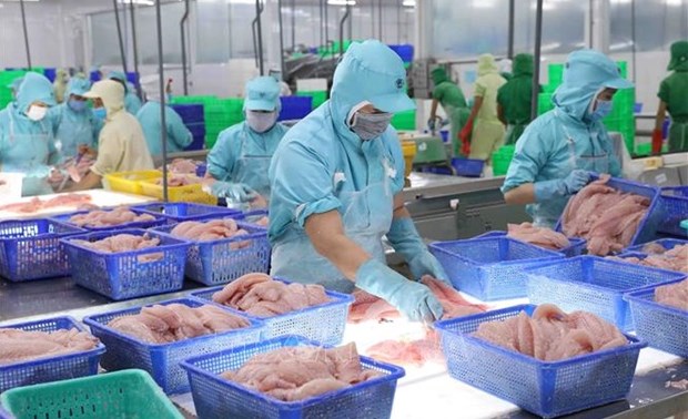 越南查鱼企业预计将在2023年第三季度恢复增长 hinh anh 1