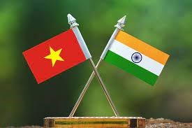 越南出席在印度召开的第28届伙伴关系峰会 hinh anh 1