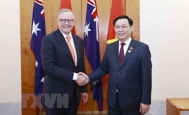 越南与澳大利亚战略伙伴关系5周年：专家积极评价双边成果 hinh anh 1