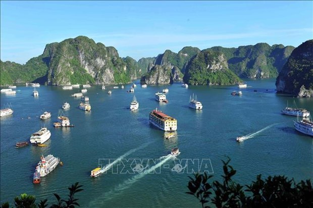 广宁省即将推出多个新的海洋旅游产品 hinh anh 1