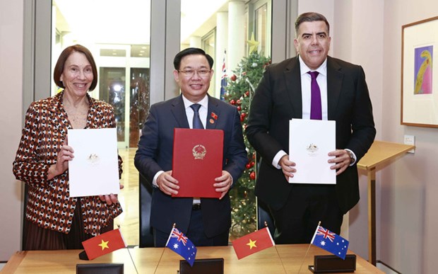 越南与澳大利亚战略伙伴关系建立5周年：双边关系发生质变 hinh anh 1
