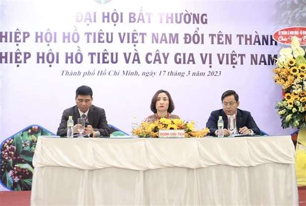 越南胡椒协会更名为越南胡椒与香料树协会 hinh anh 1