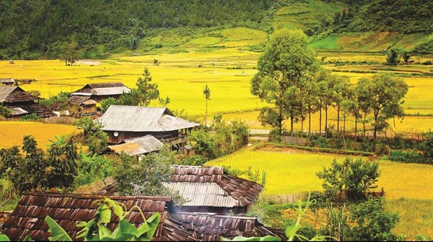 越南支持少数民族建房、开垦和改良土地 hinh anh 1