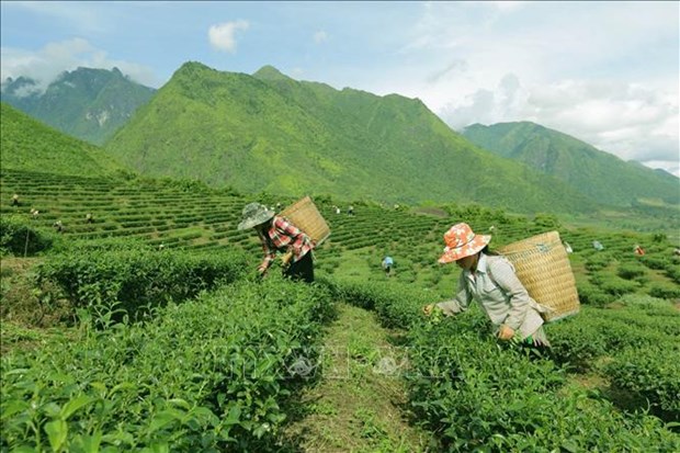 越南支持少数民族建房、开垦和改良土地 hinh anh 2