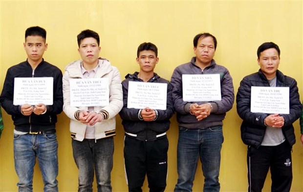 组织外籍人员非法入境越南 5人被起诉 hinh anh 1