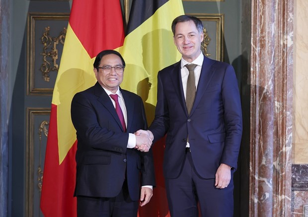越南与比利时传统友好关系不断得到巩固和发展 hinh anh 1