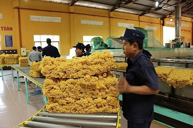 越南是韩国的第四大橡胶供应市场 hinh anh 1