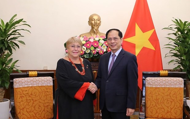 越南外交部长裴青山会见智利前总统米歇尔·巴切莱特 hinh anh 1