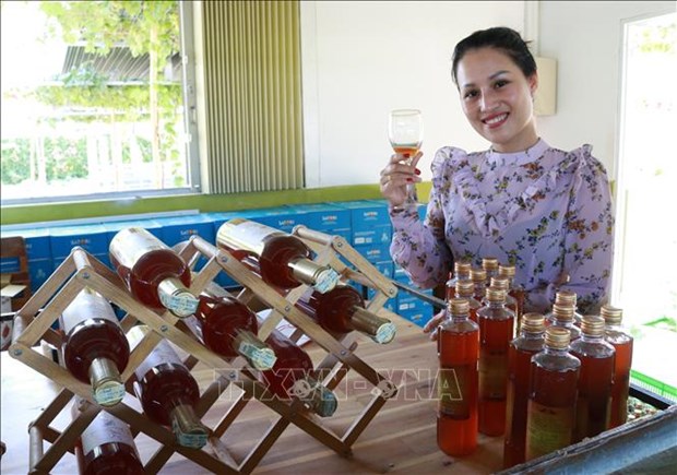越南旅游：宁顺葡萄和葡萄酒节将于今年6月举行 hinh anh 2