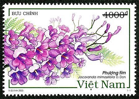 越南邮政总公司将于本月底发行题为“蓝花楹”邮票 hinh anh 1