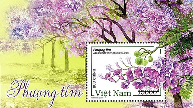 越南邮政总公司将于本月底发行题为“蓝花楹”邮票 hinh anh 2