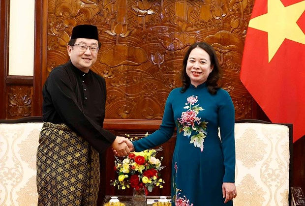 马来西亚驻越南大使陈扬泰：越南是马来西亚最亲密的伙伴之一 hinh anh 2