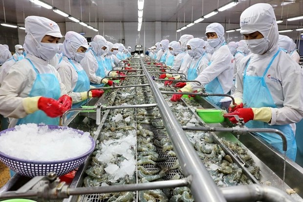 越南虾类出口迎难而上力争实现2023年既定目标 hinh anh 1