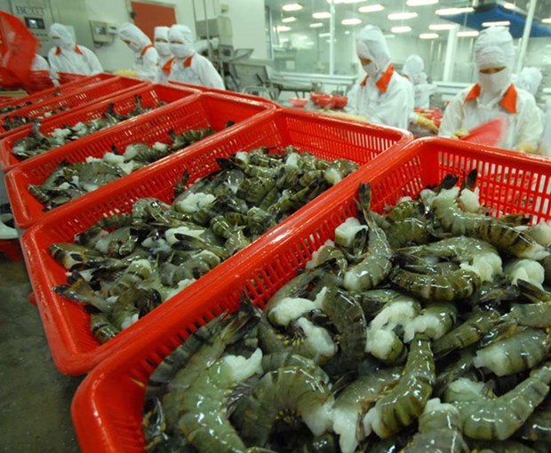 越南虾类出口迎难而上力争实现2023年既定目标 hinh anh 2