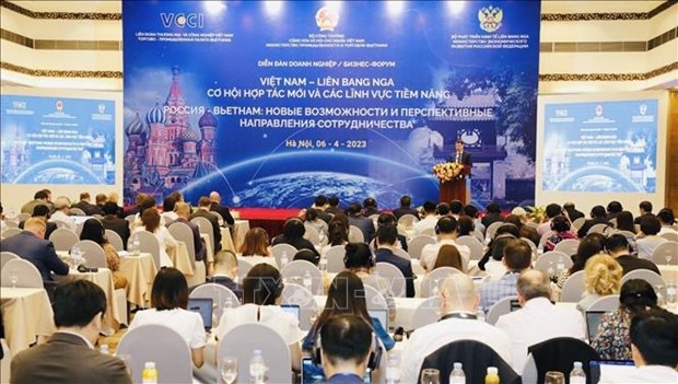 “越南-俄罗斯：新合作机遇与潜在领域”企业论坛在河内举行 hinh anh 2
