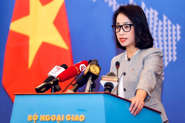 外交部例行记者会：越南坚决和非法移民作斗争 hinh anh 1
