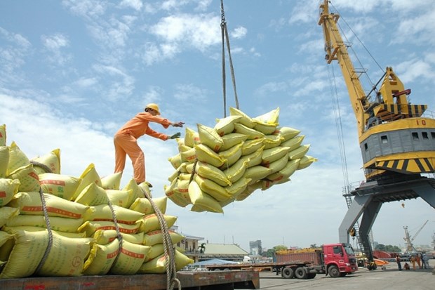 越南力争实现粮食食品出口额达300亿美元的目标 hinh anh 1