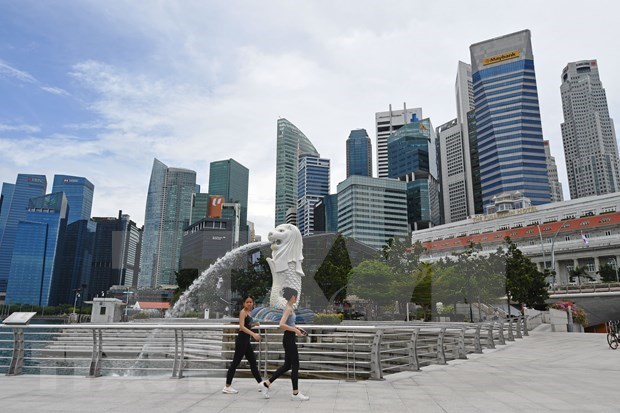 2023年第一季度新加坡旅游业复苏势头明显 hinh anh 1