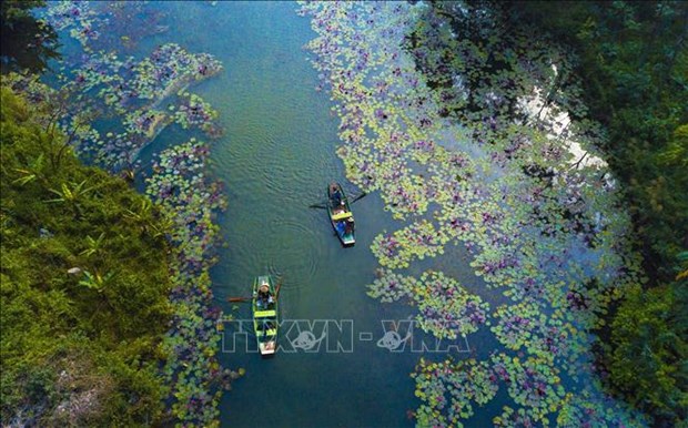 《福布斯》杂志将宁平省评为 2023 年 23 个最佳旅游目的地之一 hinh anh 1