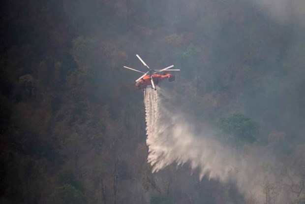 森林火灾威胁着泰国的考艾国家公园 hinh anh 1