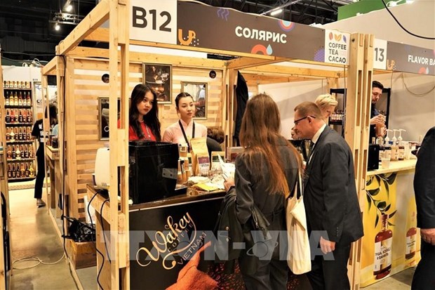 越南咖啡企业在俄罗斯市场寻找商机 hinh anh 1