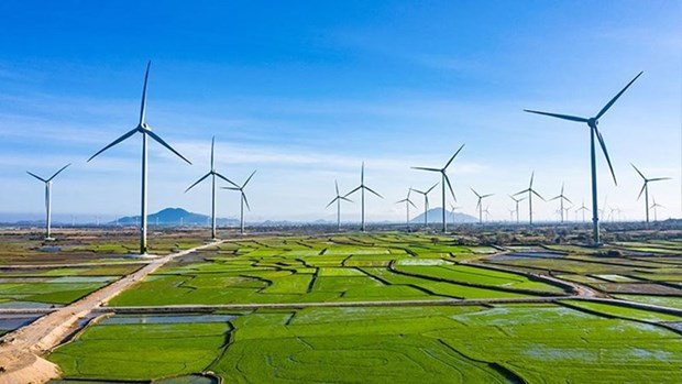越南绿色增长：力争将绿色经济规模增至2050年的3000亿美元 hinh anh 2
