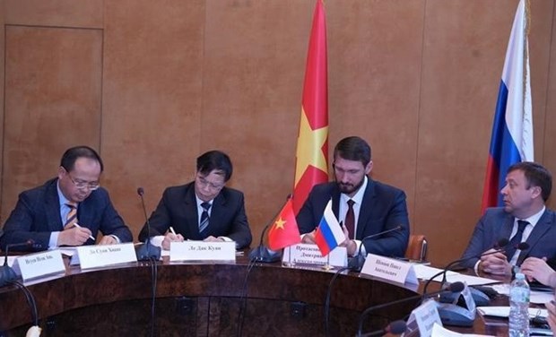 俄罗斯越南促进多个领域的双边合作关系 hinh anh 1