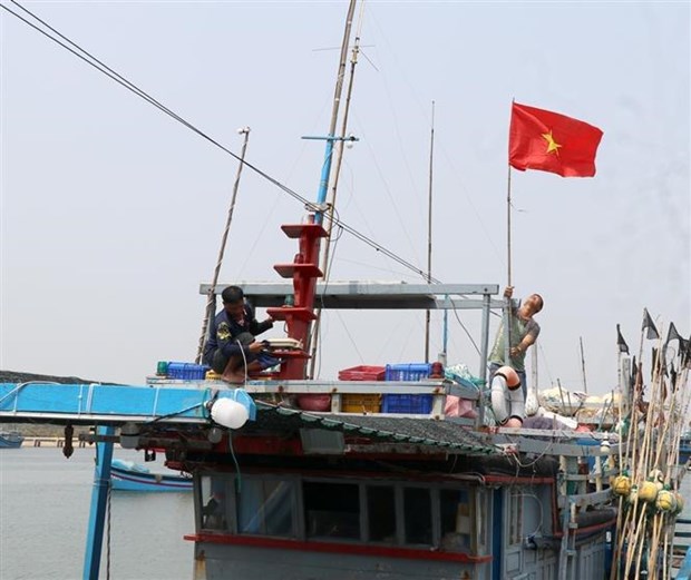 解除IUU“黄牌警告”：严惩不按规定安装、开通船位监测设备的渔船 hinh anh 1