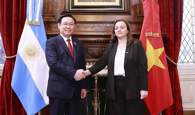 越南国会主席王廷惠与阿根廷众议长塞西莉亚·莫罗举行会谈 hinh anh 1