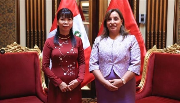 秘鲁总统高度评价越南与秘鲁的双边合作关系 hinh anh 2