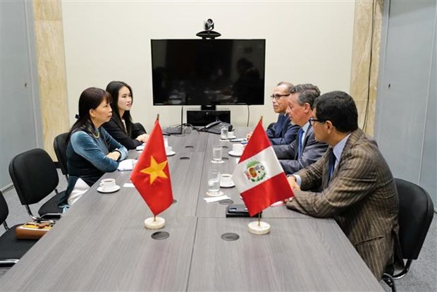 秘鲁总统高度评价越南与秘鲁的双边合作关系 hinh anh 1