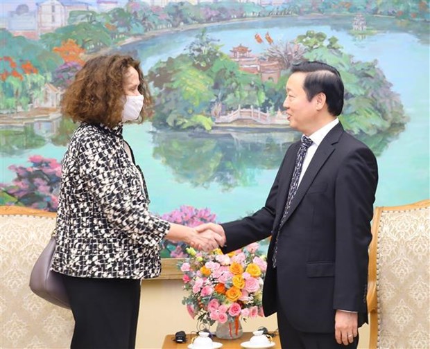 越南政府副总理陈红河会见世行驻越南首席代表 hinh anh 1