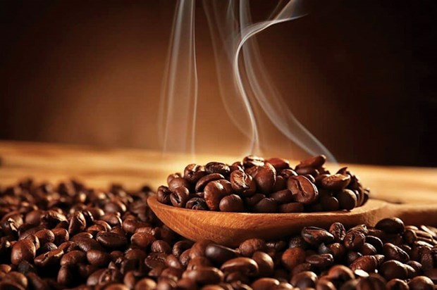 提升越南咖啡的声望与价值 hinh anh 2