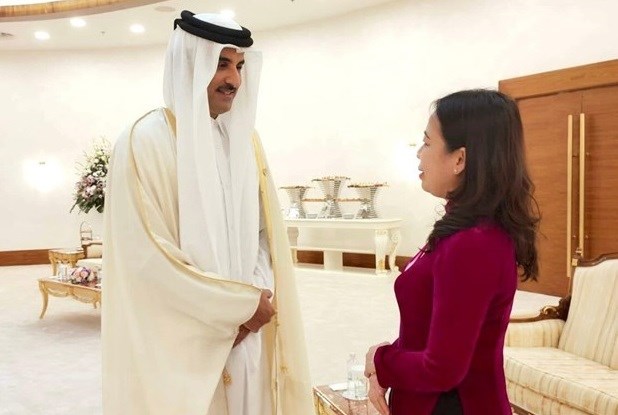 越南驻卡塔尔大使陈德雄：越卡双边合作关系潜力巨大 hinh anh 1