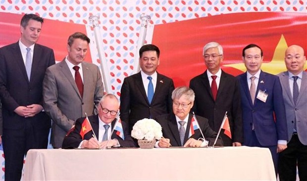 越南与卢森堡促进贸易与投资合作关系 hinh anh 2