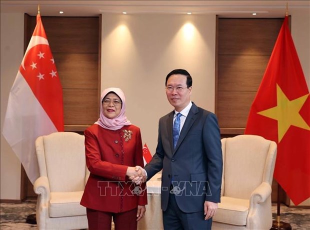 国家主席武文赏会见新加坡总统哈莉玛·雅各布 hinh anh 1