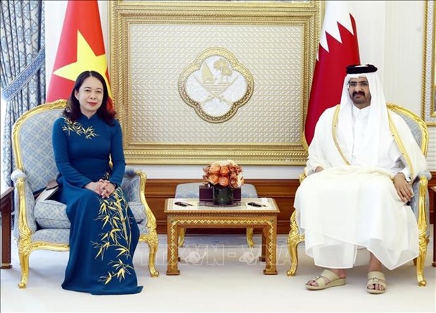 越南国家副主席与卡塔尔副埃米尔举行会谈 hinh anh 1
