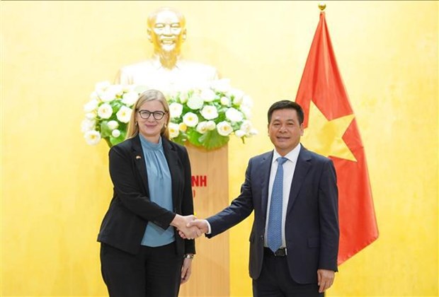 越南与瑞典经贸合作潜力仍有待充分挖掘 hinh anh 1