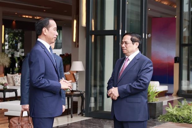 第42届东盟峰会：越南政府总理范明政会见印尼总统佐科·维多多 hinh anh 1