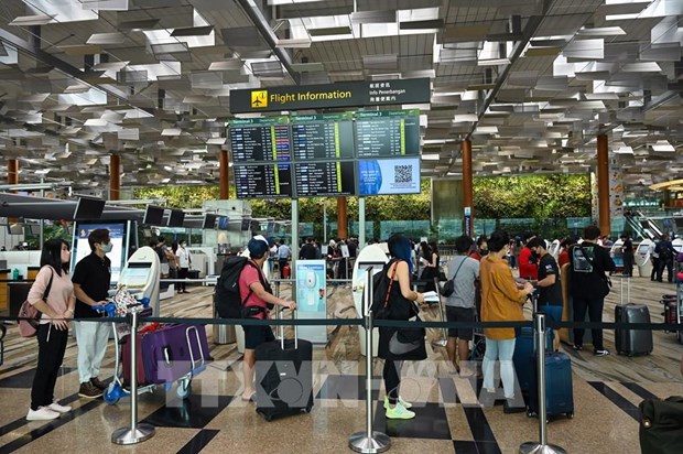 数字化转型：新加坡2024年起实行免护照通关 hinh anh 1