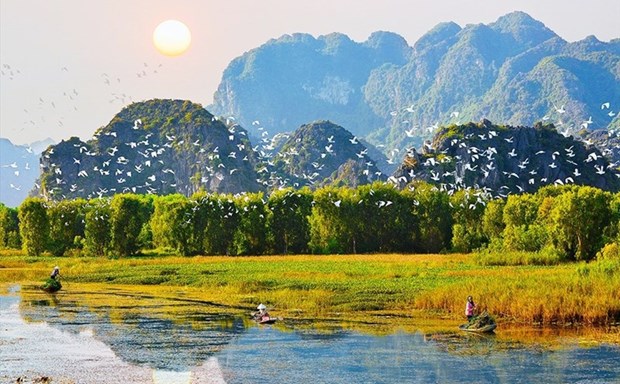 越南着力保护和可持续利用湿地资源 hinh anh 2