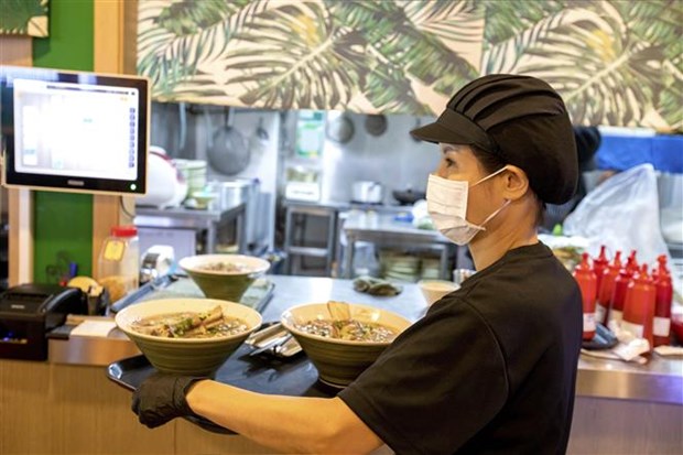 越南美食文化在韩国得到传播 hinh anh 1